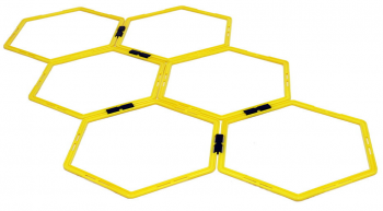 Лестница для функциональных тренировок, Profi-Fit