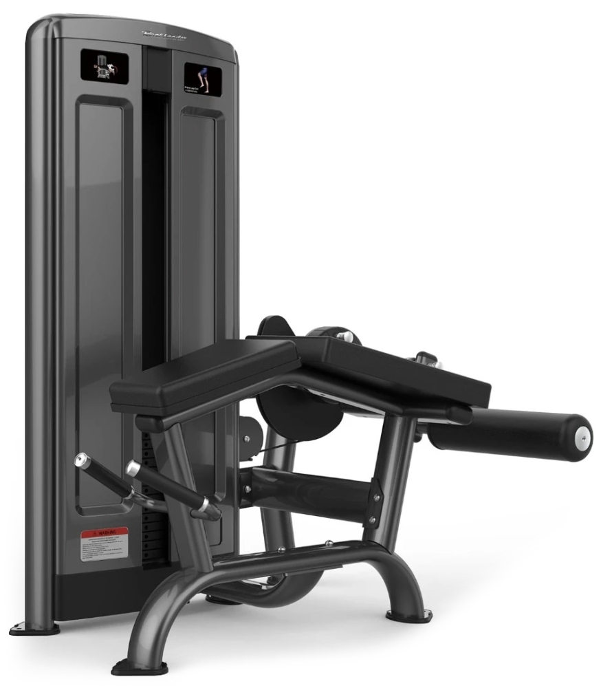 Сгибание ног лежа Realleader M7Pro-2009