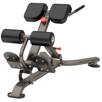 Гиперэкстензия Smith DR-010B Гиперэкстензия Smith DR-010B