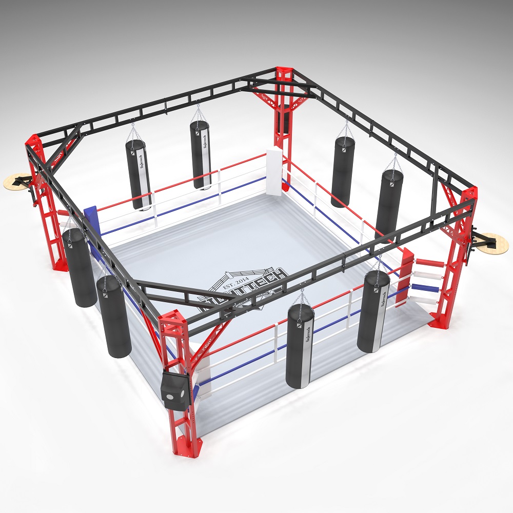 Ринг боксерский в раме Gym in one Fighttech BR4
