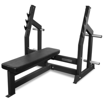 Скамья для жима горизонтальная Bronze Gym AL-304