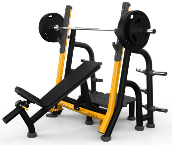 Скамья для жима с положительным наклоном с доводчиком Matrix Magnum A679