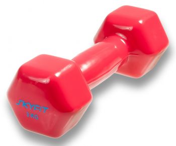 Гантель SkyFit в виниловой оболочке 3 кг Гантель SkyFit в виниловой оболочке 3 кг