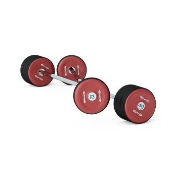 Штанга 50 кг (с заглушкой) Panatta 1PBF50