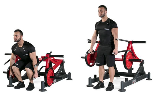 Становая тяга / Выпады Panatta 1HP590