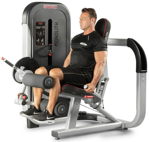 Сгибание ног сидя Panatta 1MTH083