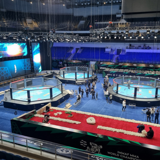 Восьмиугольник турнирный на помосте Fighttech OC4 - фото 6