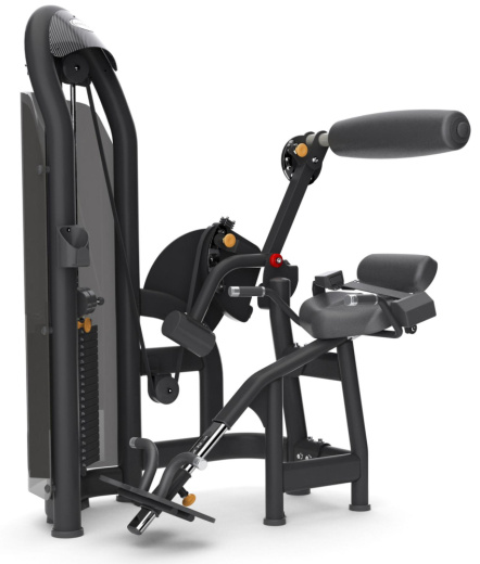 Разгибание спины Matrix G3 S52