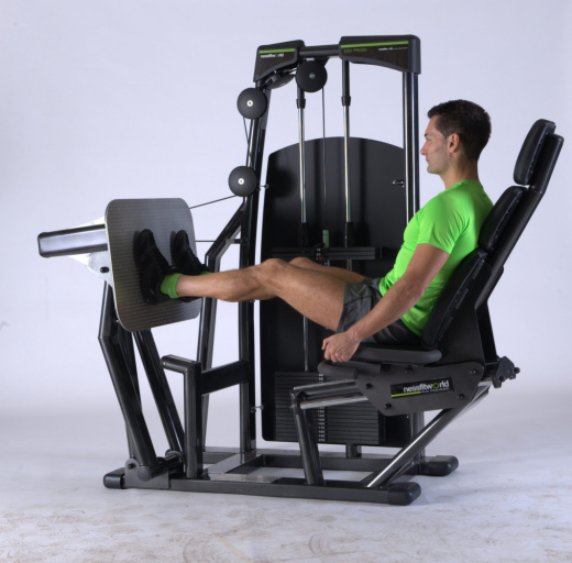 Жим ногами сидя Nessfit FW-2000