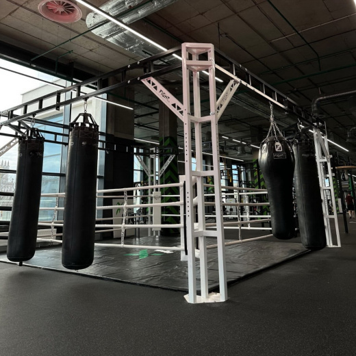 Ринг боксерский в раме Gym in one Fighttech BR4 - фото 2
