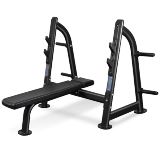 Скамья для жима горизонтальная Bronze Gym BR-1012