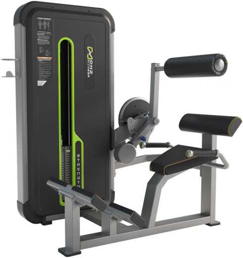 Разгибание спины. Стек 109 кг. DHZ A-3031 (U3031A)