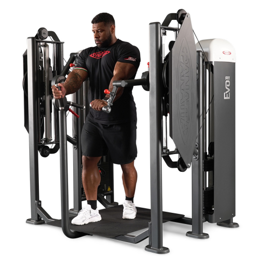 Независимый бицепс/трицепс стоя Panatta 1FE155