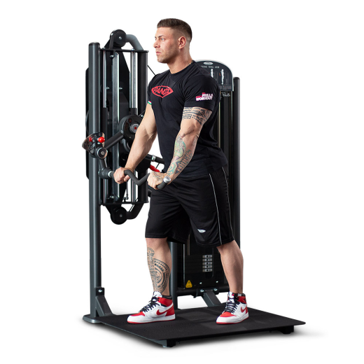 Бицепс / Трицепс стоя Panatta 1FE055A