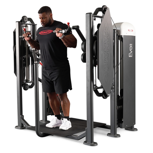 Независимый бицепс/трицепс стоя Panatta 1FE155