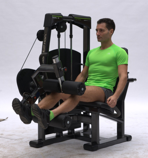 Сгибание ног сидя Nessfit FW-1600