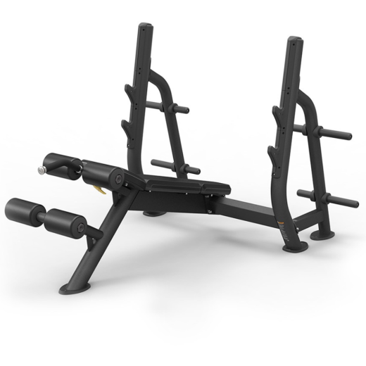 Олимпийская скамья с отрицательным углом наклона Spirit SP-4211