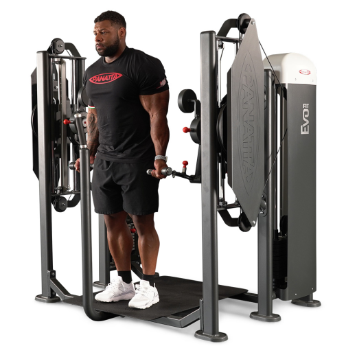 Независимый бицепс/трицепс стоя Panatta 1FE155