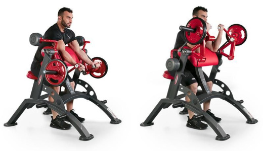 Бицепс Panatta 1HP551 - фото 3