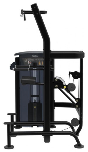 Подтягивание / отжимание с помощью Impulse IT9520