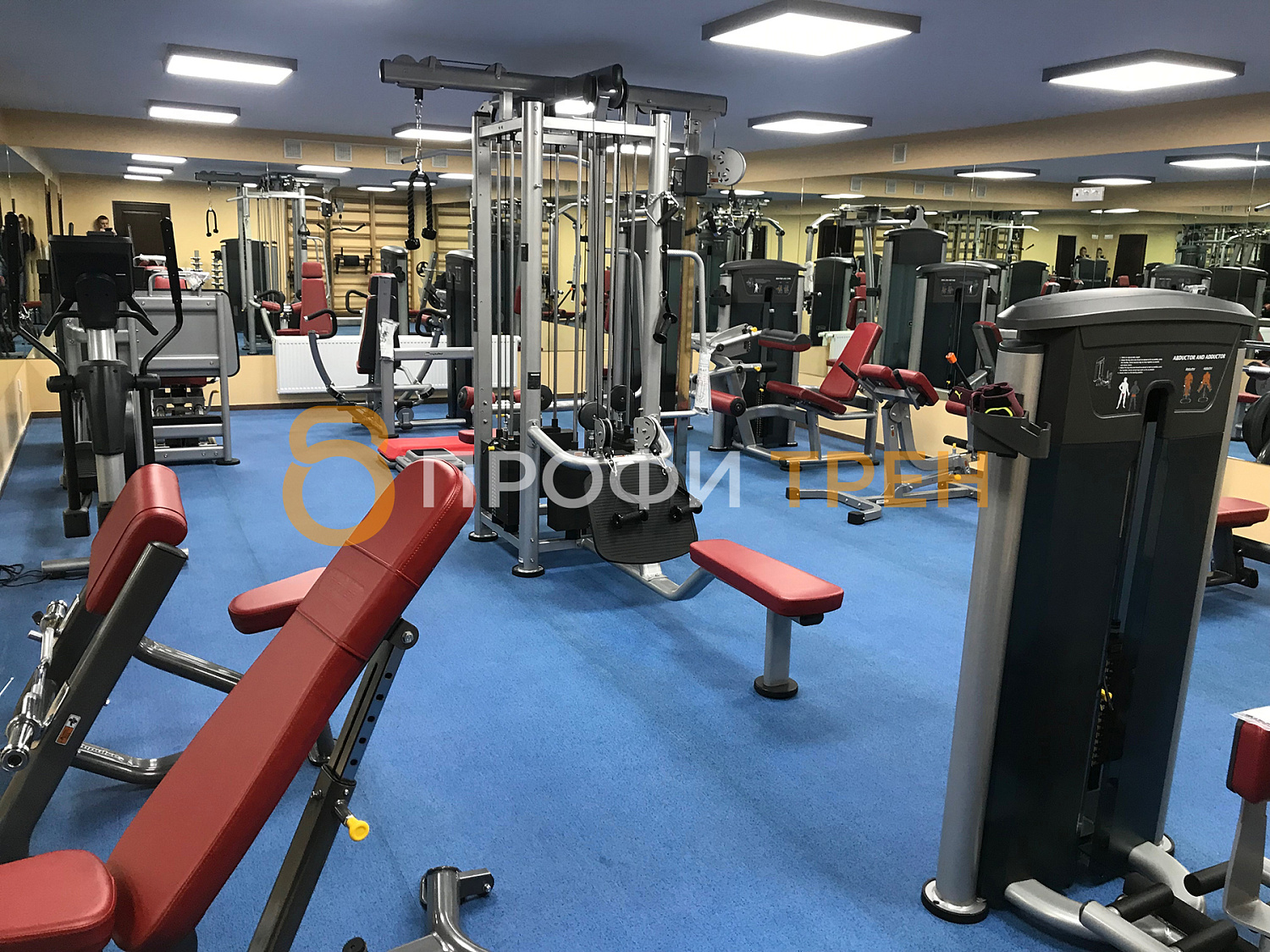 Полноценный тренажерный зал в коттедже