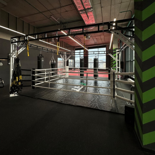 Ринг боксерский в раме Gym in one Fighttech BR4 - фото 4