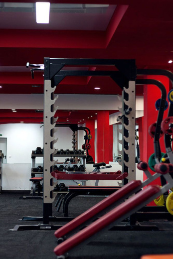 Силовая рама повышенной прочности для жимов и приседов с опцией для хранения дисков Impulse SL7009+SL7009OPT