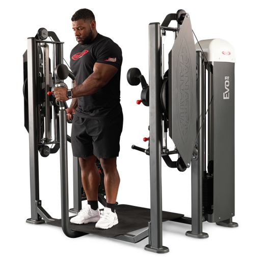 Независимый бицепс/трицепс стоя Panatta 1FE155