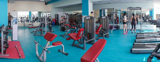 Парта для бицепса (Скамья Скотта) Impulse IFSPC