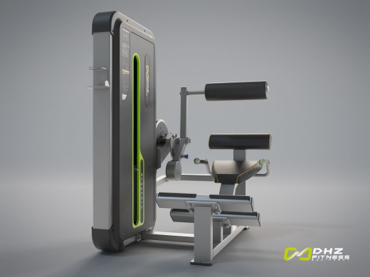 Разгибание спины. Стек 109 кг. DHZ A-3031 (U3031A)