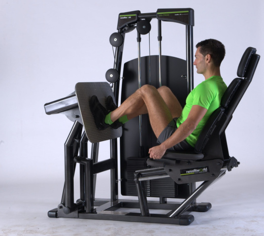 Жим ногами сидя Nessfit FW-2000