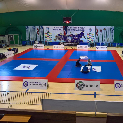 Татами Normal 100х200х4см Fighttech TN - фото 4