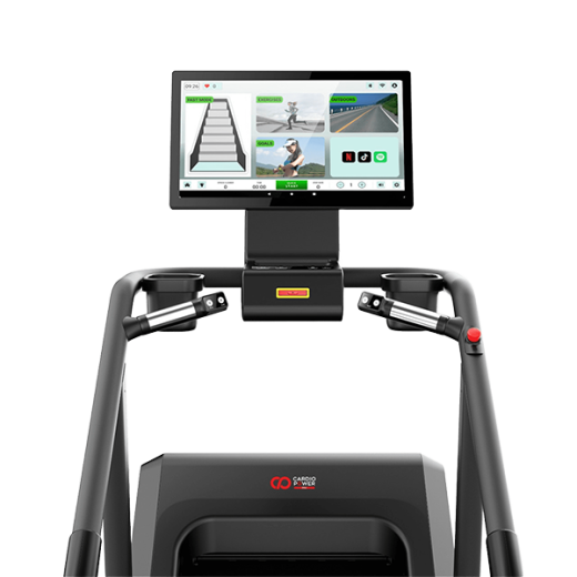 Лестница степпер Сardio Power SP 650