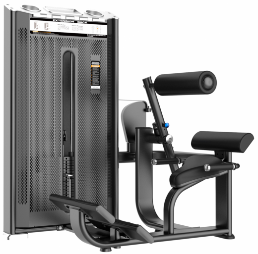 Разгибание спины. Стек 110 кг. DHZ E-7031A