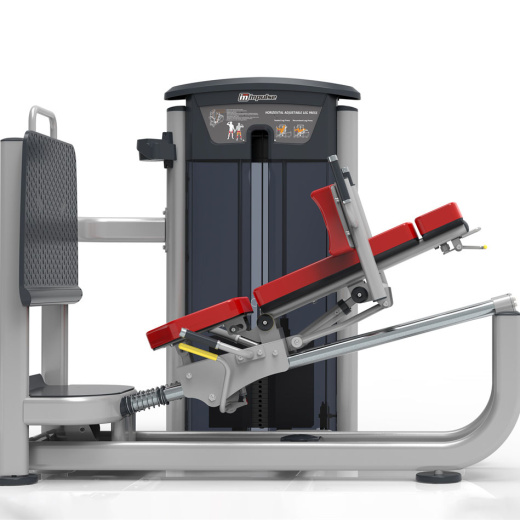 Жим ногами / Гакк-машина Impulse IT9539