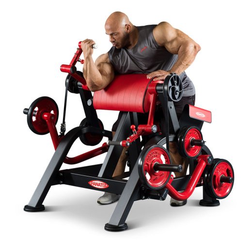 Бицепс (независимый) Panatta 1FW251