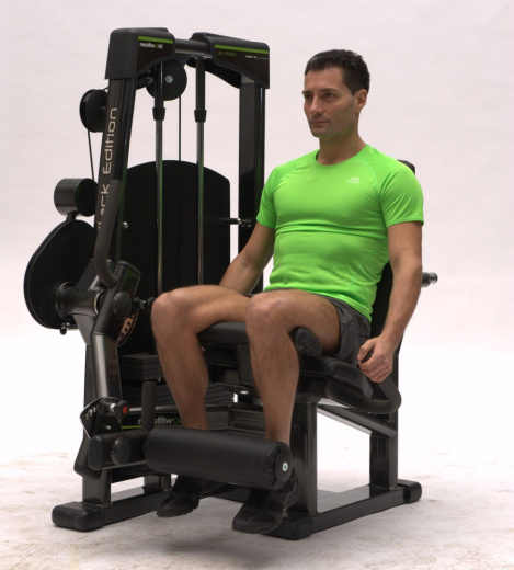 Разгибание ног Nessfit FW-1000