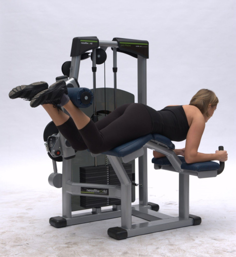 Сгибание ног лежа Nessfit FW-1500