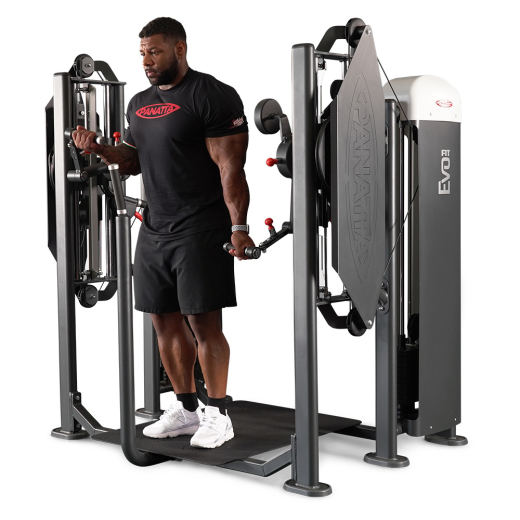 Независимый бицепс/трицепс стоя Panatta 1FE155