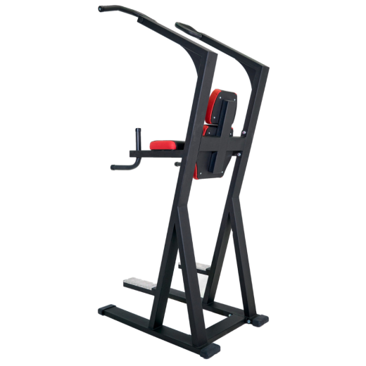 Подтягивания/отжимания Nessfit FW-0350