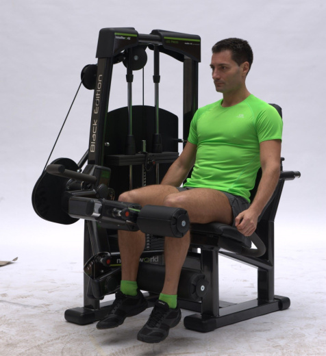 Сгибание ног сидя Nessfit FW-1600