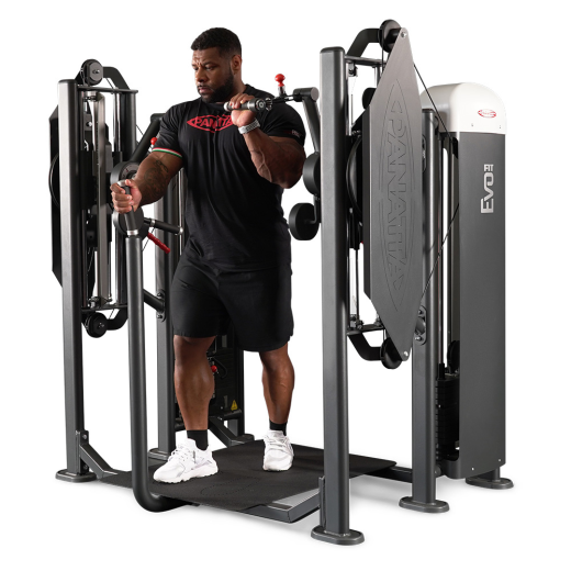 Независимый бицепс/трицепс стоя Panatta 1FE155