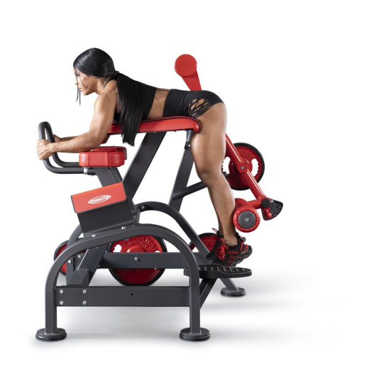 Обратная гиперэкстензия Panatta 1FW096 - фото 3