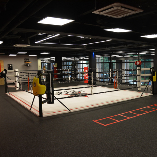 Ринг боксерский в раме Fighttech BR2 - фото 2