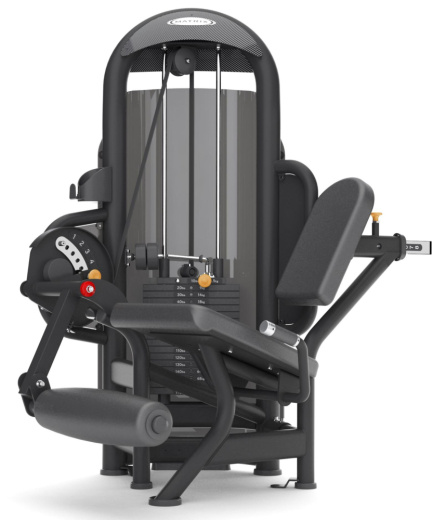 Разгибание ног Matrix G3 S71