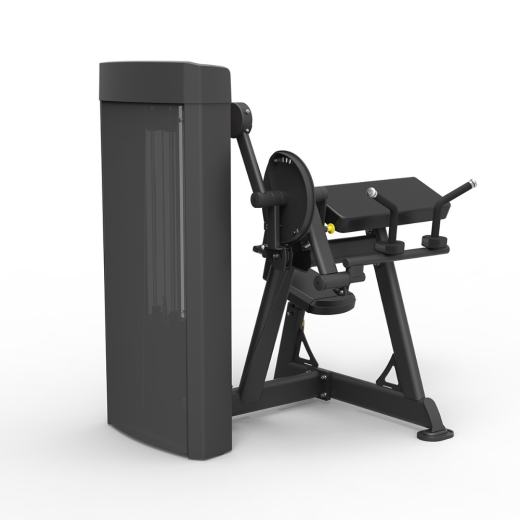 Бицепс/трицепс сидя Spirit SP-4607