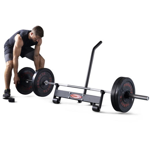 Двойной домкрат становой тяги Panatta 1PWL401