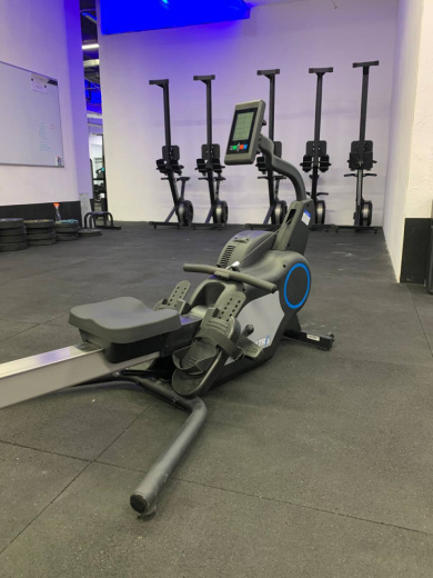 Лыжно-гребной тренажер Aerofit HSR007 (X-ROW)