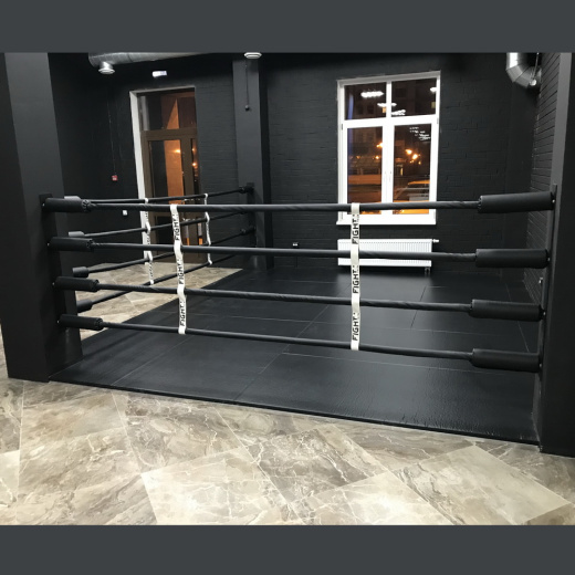 Имитация ринга Fighttech BR0 - фото 3