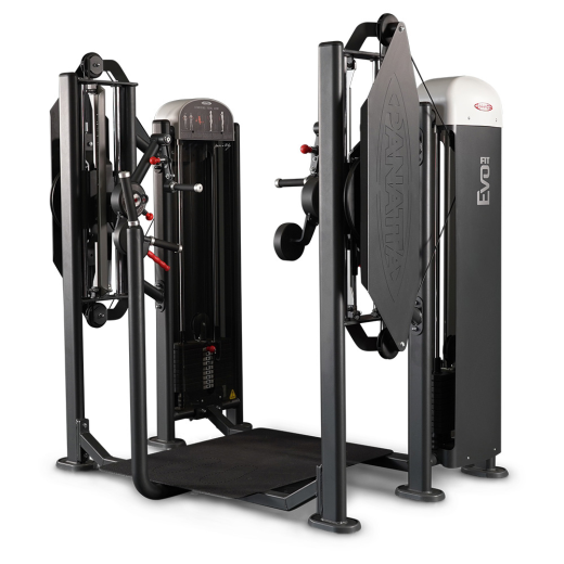 Независимый бицепс/трицепс стоя Panatta 1FE155